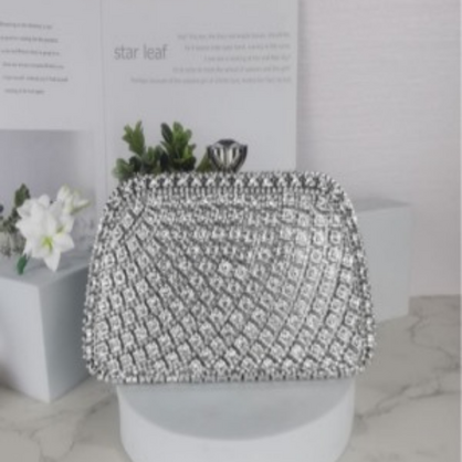 0158 - Silver Clutch