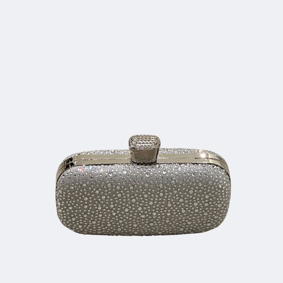 Bags - #810 - Silver Bling