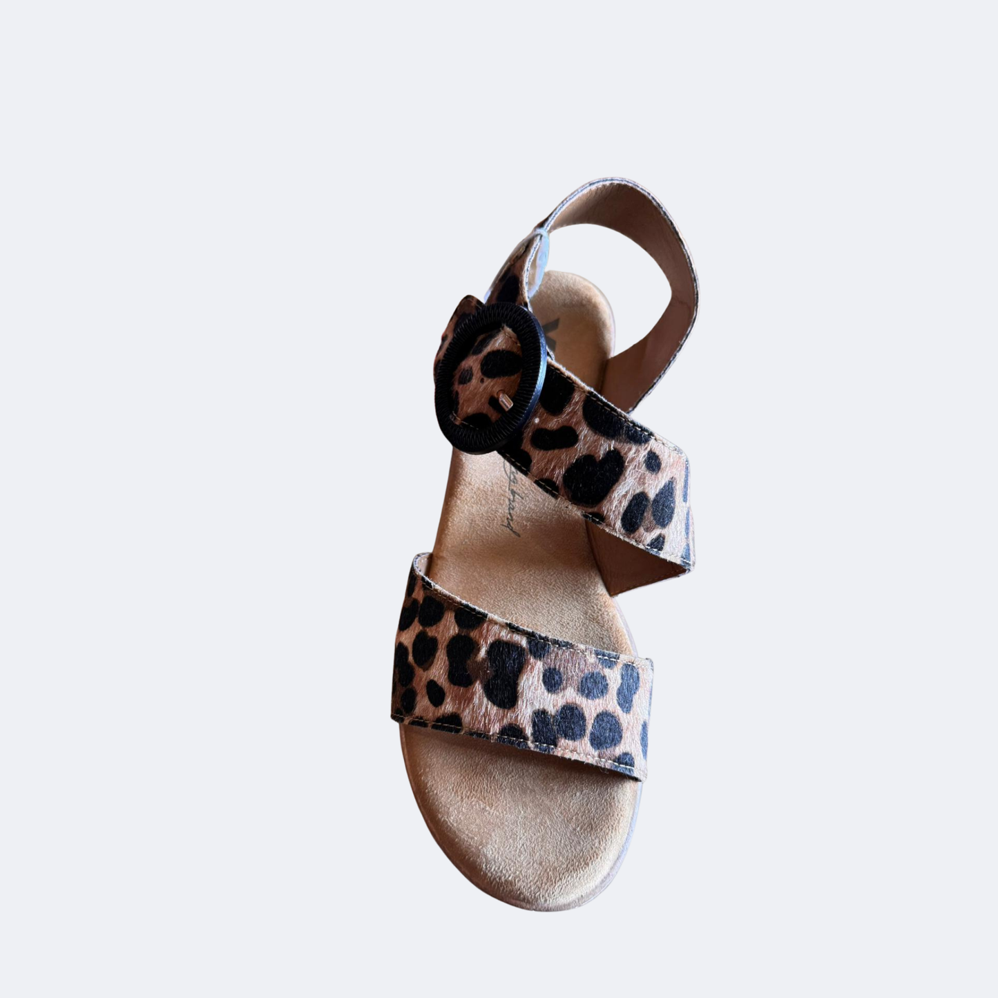 XTI - 144597 - Wedge