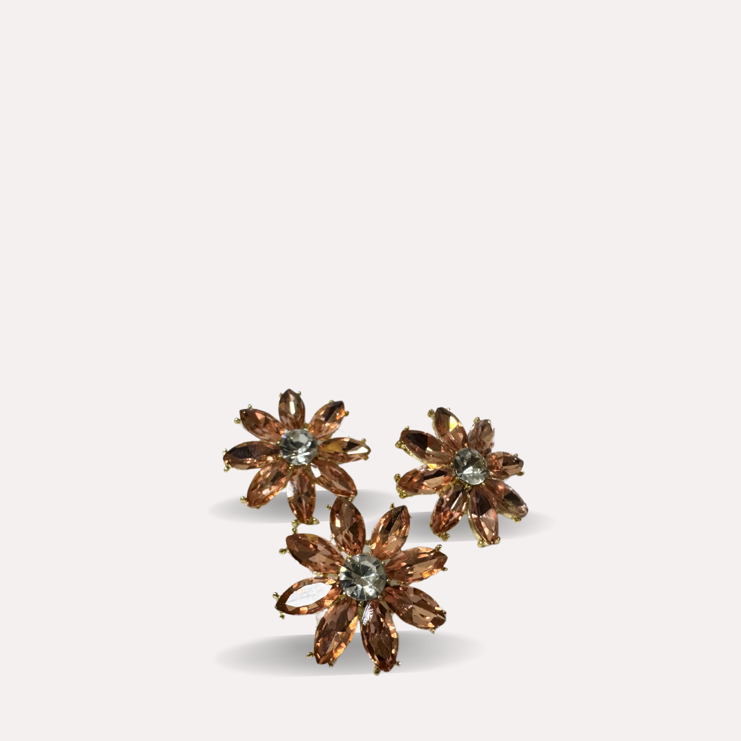 Shoe Trims - Flower (Silver,Green,Pink,Coffee)