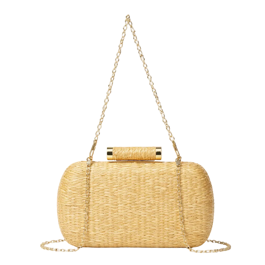 M5 - Summer Stylish Bag