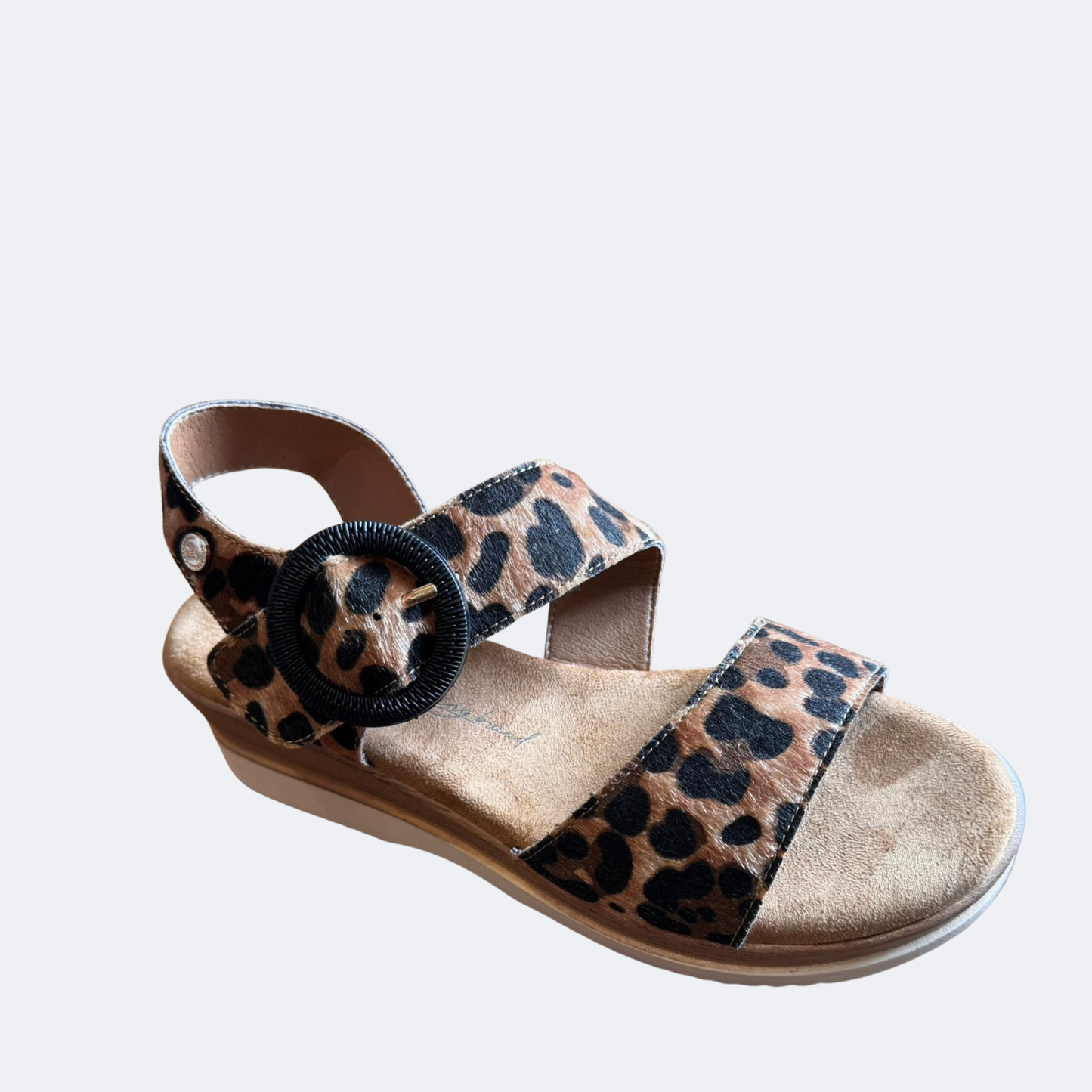 XTI - 144597 - Wedge